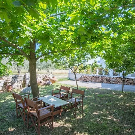 Apartment Alexios Pachis (Thasos)