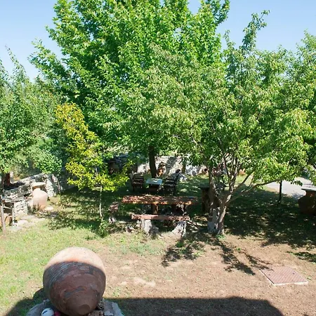 Apartment Alexios Pachis (Thasos)